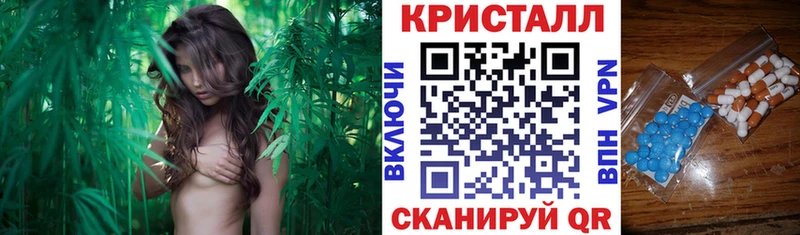 АМФ 97%  Ильский 
