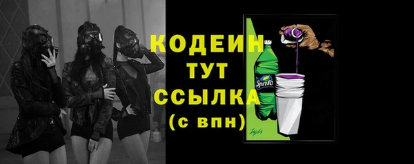 дурь Пестово