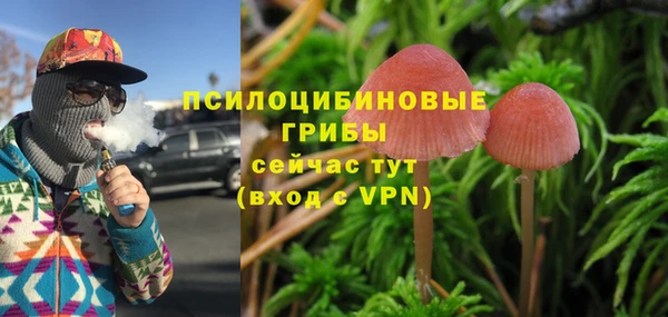 mix Пересвет
