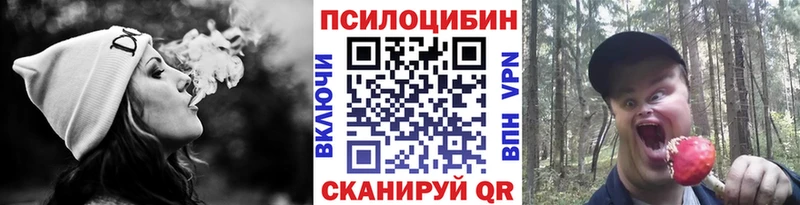 Псилоцибиновые грибы Psilocybine cubensis  Ильский 